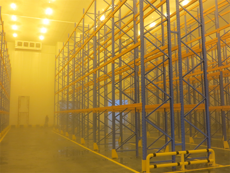 广东康师傅调试中的12米低温库