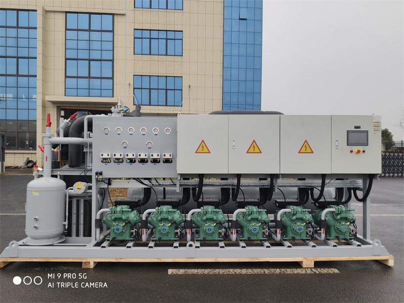 比泽尔活塞并联机组