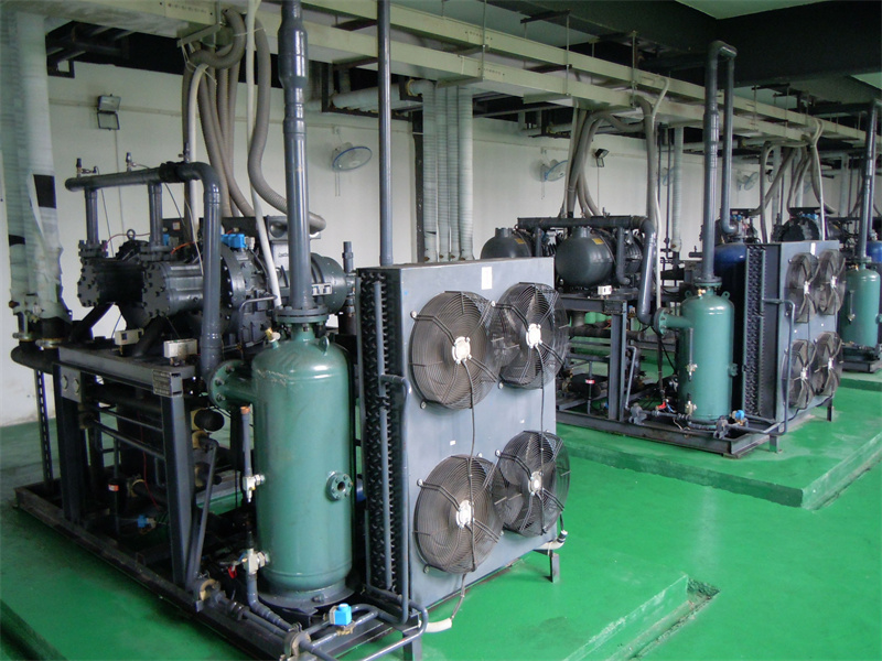 1676625480491528.jpg 4.jpg